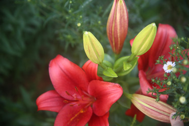 Similar image 22315205