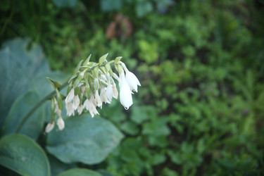 Similar image 22315206