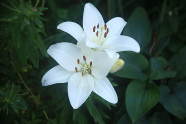 Similar image 22294358