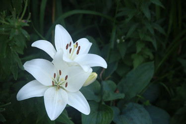 Similar image 22294360