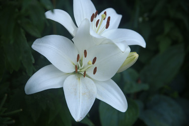 Similar image 22294361