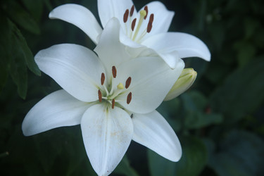 Similar image 22294362