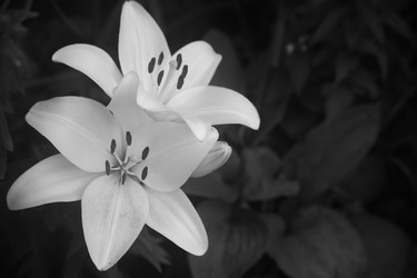 Similar image 22294363