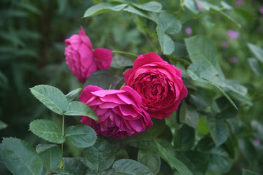 Similar image 22294364