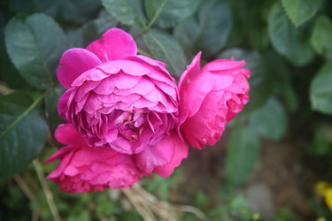 Similar image 22294365