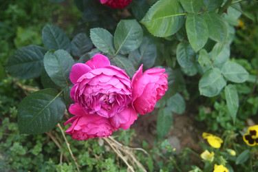 Similar image 22294588