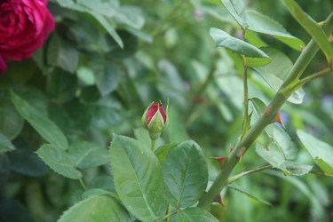 Similar image 22294589