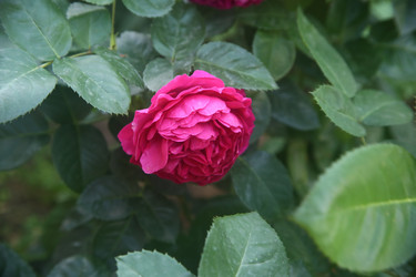 Similar image 22294590