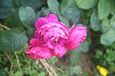 Similar image 22294591