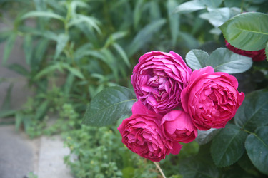 Similar image 22294592