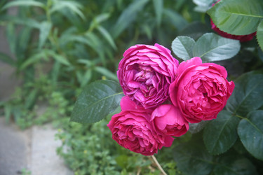 Similar image 22294593