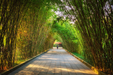 Similar image 22313886