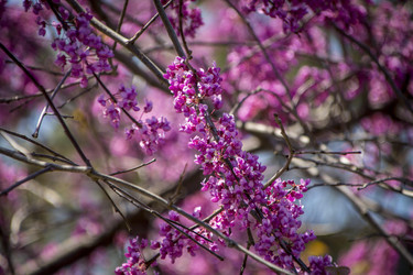 Similar image 22314863