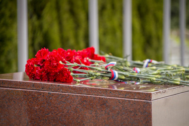 Similar image 22314867