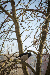 Similar image 22314869