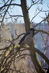 Similar image 22314870