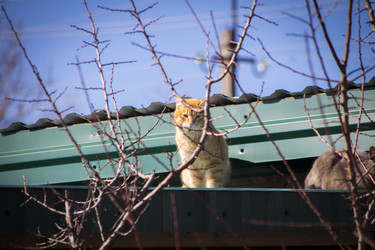 Similar image 22314871