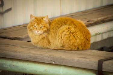 Similar image 22314873