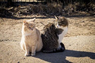 Similar image 22314874