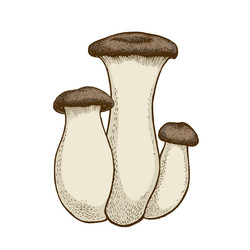 Similar image 22302192