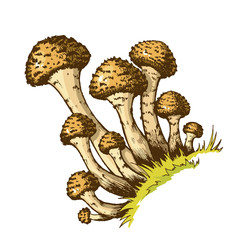 Similar image 22302194