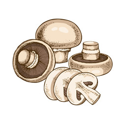 Similar image 22302196