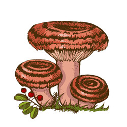 Similar image 22302203