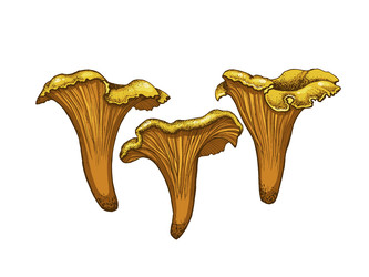 Similar image 22302210