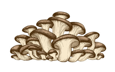 Similar image 22302212