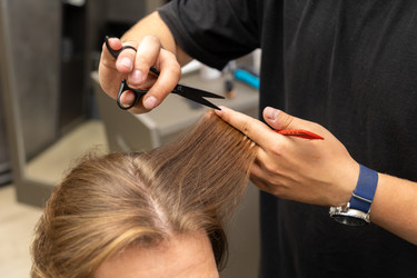 Similar image 22294880