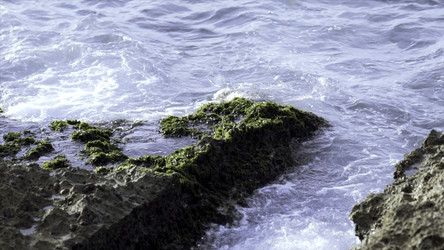 Similar image 22328004