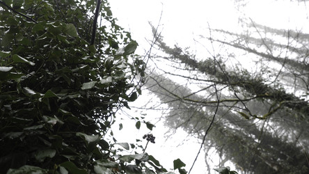 Similar image 22328268