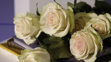 Similar image 22329067