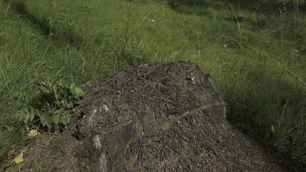 Similar image 22329888