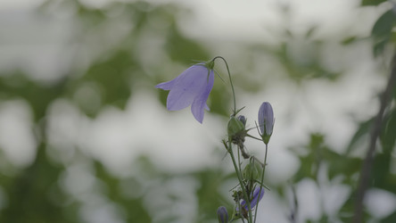 Similar image 22330145