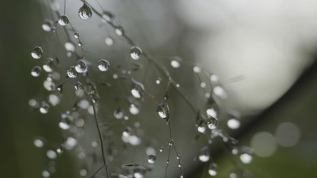 Similar image 22330147