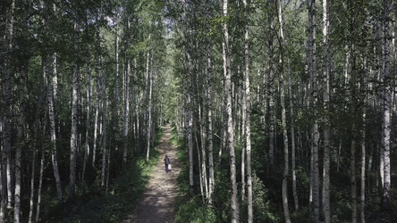 Similar image 22330536