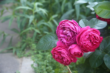 Similar image 22315207