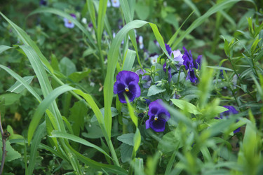 Similar image 22323437