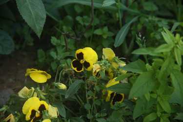 Similar image 22323438