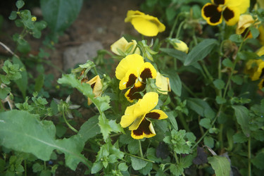 Similar image 22323439