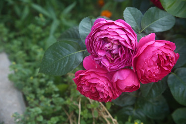 Similar image 22315208