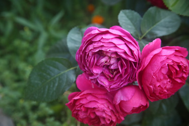 Similar image 22315209