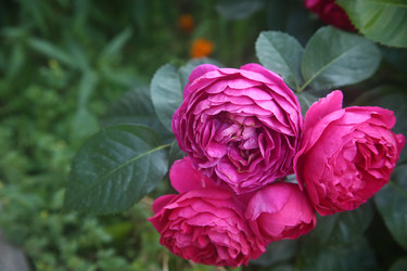 Similar image 22315210