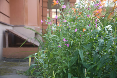 Similar image 22317214