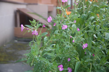 Similar image 22317215