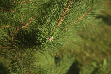 Similar image 22317216