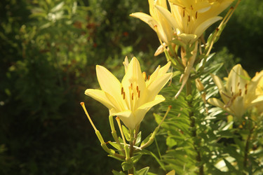 Similar image 22315211