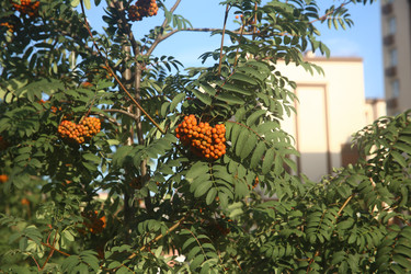 Similar image 22316567