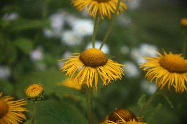 Similar image 22315212